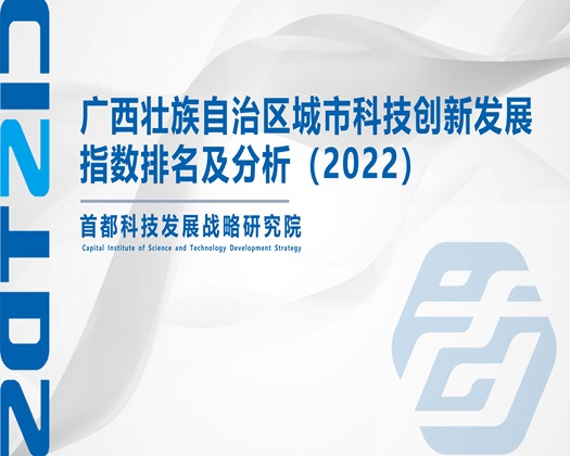 看免费操大逼【成果发布】广西壮族自治区城市科技创新发展指数排名及分析（2022）